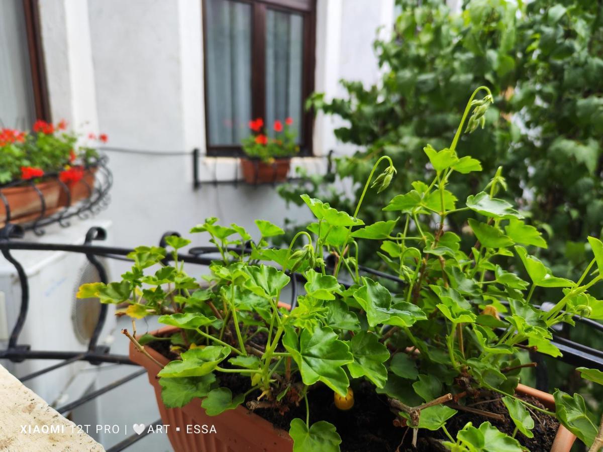 Apartament Buon Gusto,Near Main Square And Liar Bridge,Historical Side Of City Center Sibiu Eksteriør billede