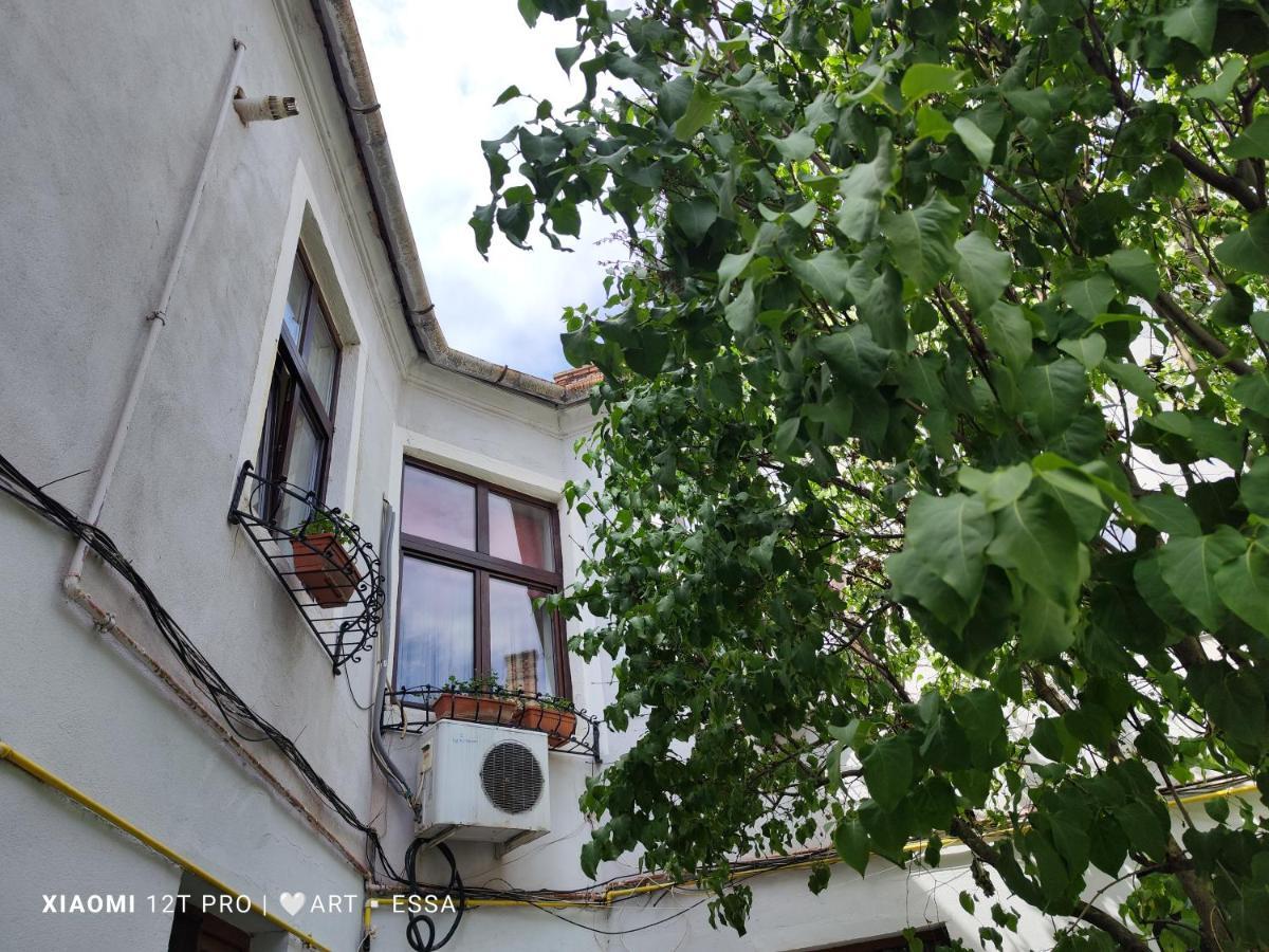 Apartament Buon Gusto,Near Main Square And Liar Bridge,Historical Side Of City Center Sibiu Eksteriør billede