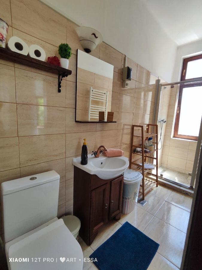 Apartament Buon Gusto,Near Main Square And Liar Bridge,Historical Side Of City Center Sibiu Eksteriør billede