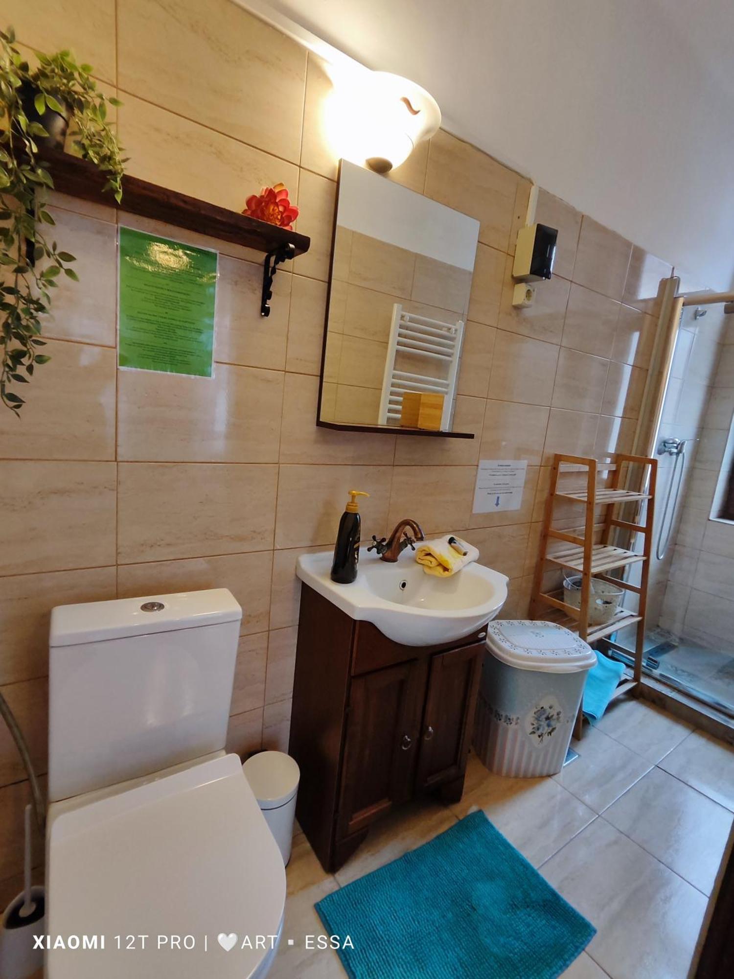 Apartament Buon Gusto,Near Main Square And Liar Bridge,Historical Side Of City Center Sibiu Eksteriør billede